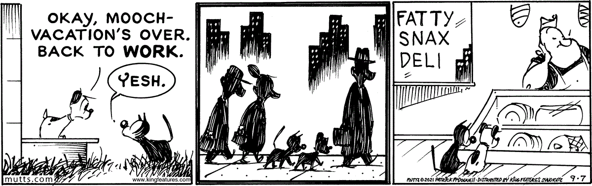 September 7 2021, Daily Comic Strip