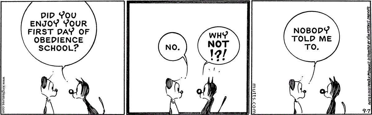 September 7 2022, Daily Comic Strip