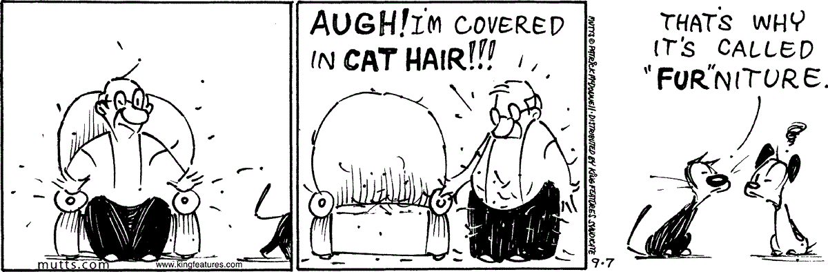 September 7 2024, Daily Comic Strip