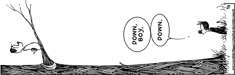 September 8 2016, Daily Comic Strip