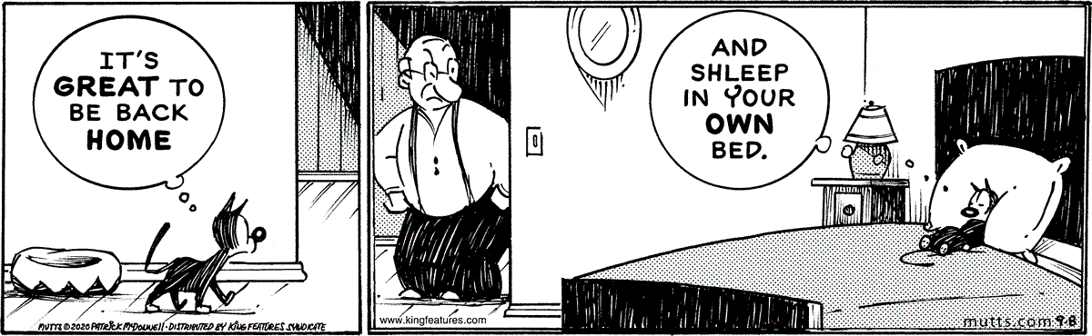 September 8 2020, Daily Comic Strip