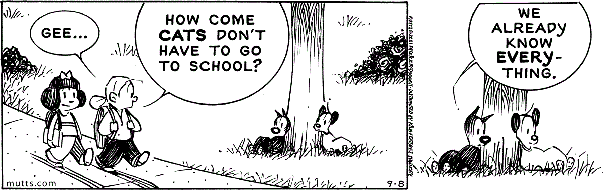 September 8 2021, Daily Comic Strip