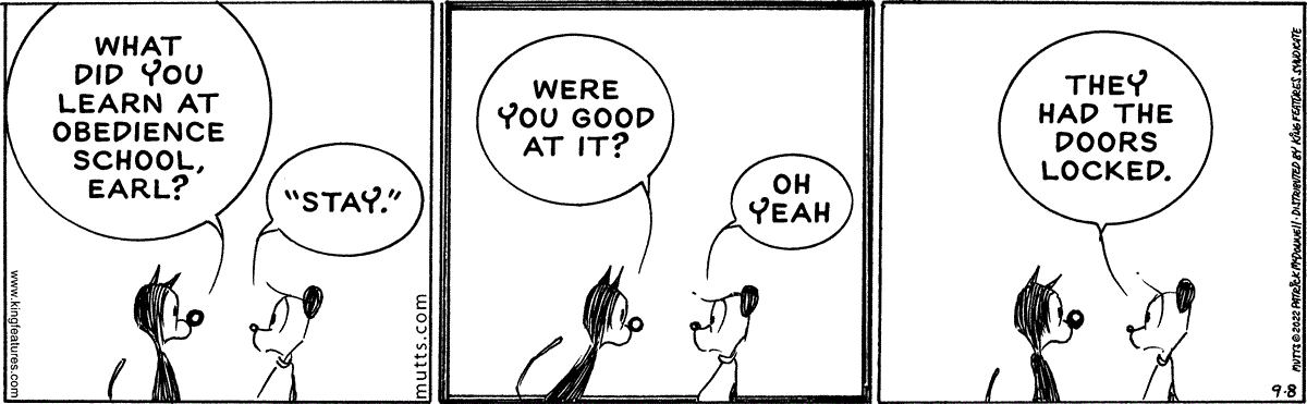 September 8 2022, Daily Comic Strip