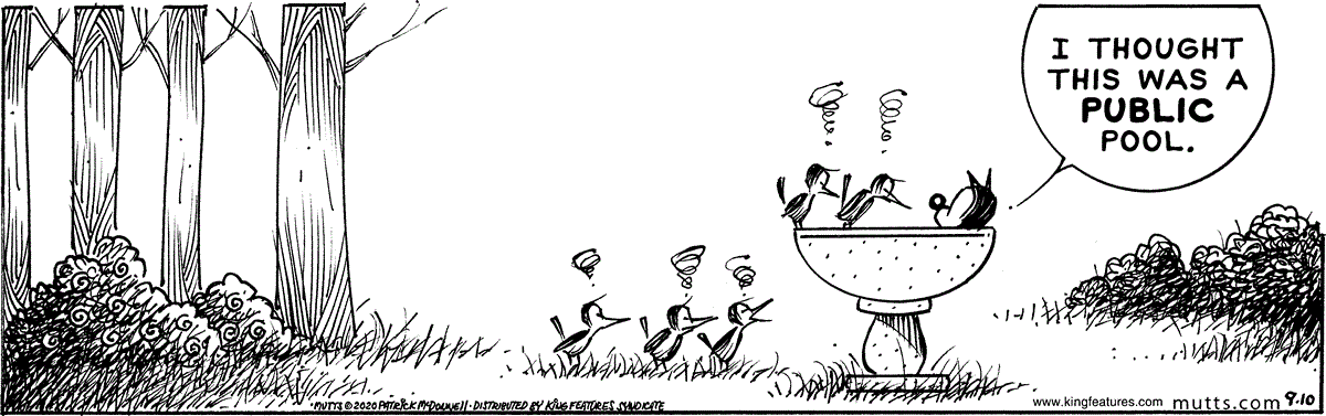 September 10 2020, Daily Comic Strip