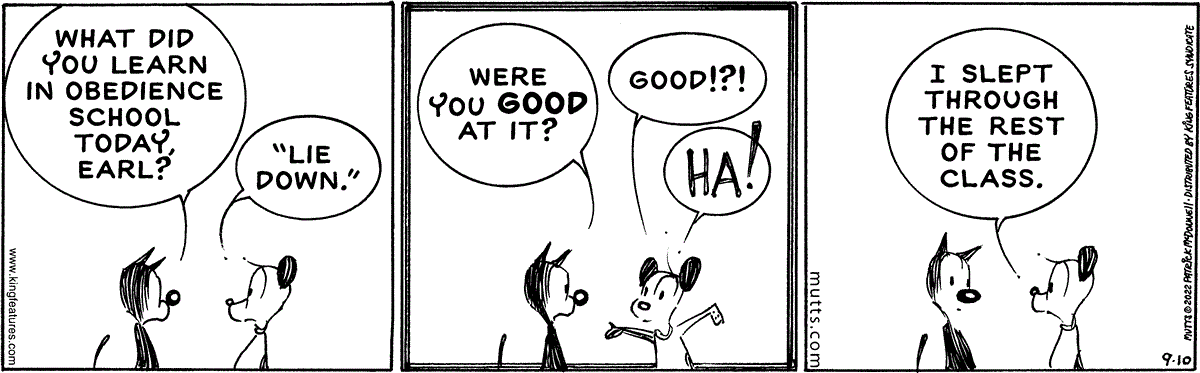September 10 2022, Daily Comic Strip