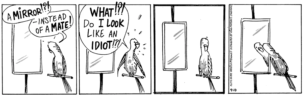 September 10 1997, Daily Comic Strip