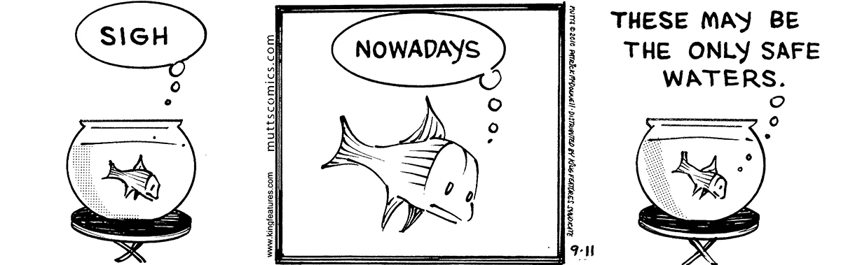 September 11 2010, Daily Comic Strip