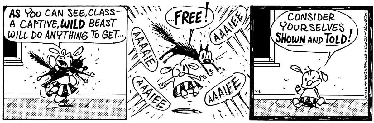September 11 1998, Daily Comic Strip