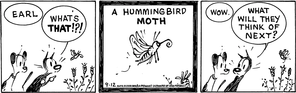 September 12 2008, Daily Comic Strip