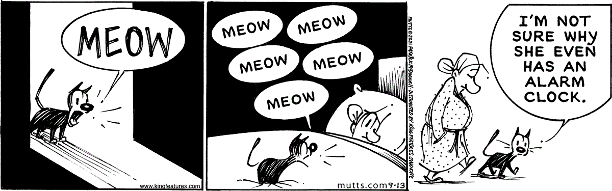 September 13 2021, Daily Comic Strip