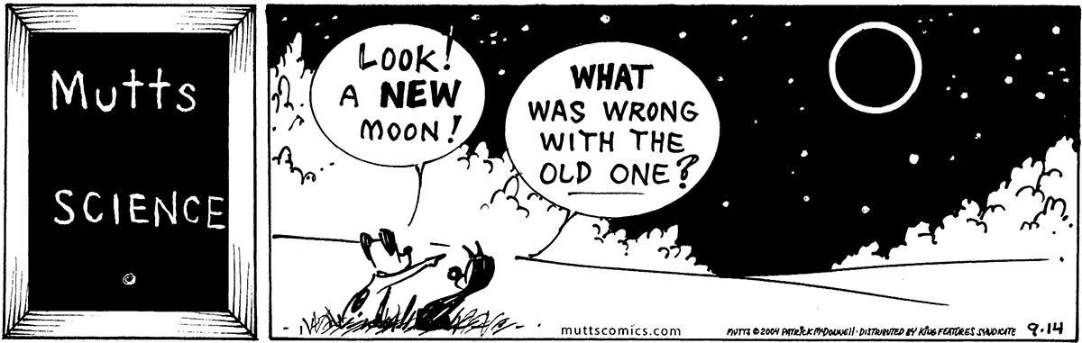 September 14 2004, Daily Comic Strip