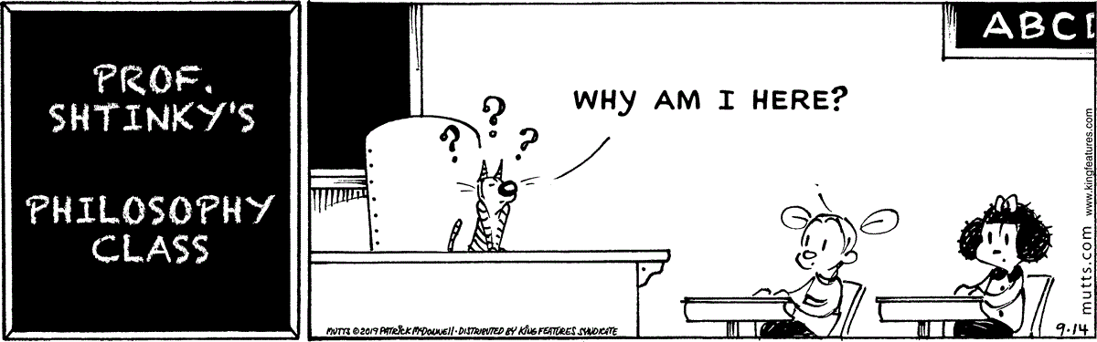 September 14 2019, Daily Comic Strip