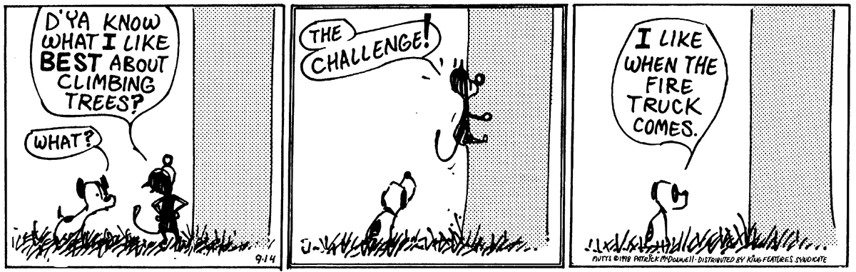 September 14 1998, Daily Comic Strip