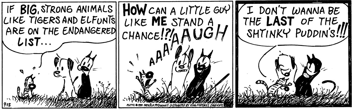 September 15 1999, Daily Comic Strip
