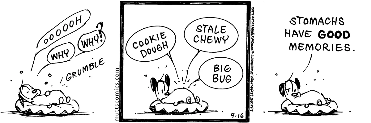 September 16 2003, Daily Comic Strip