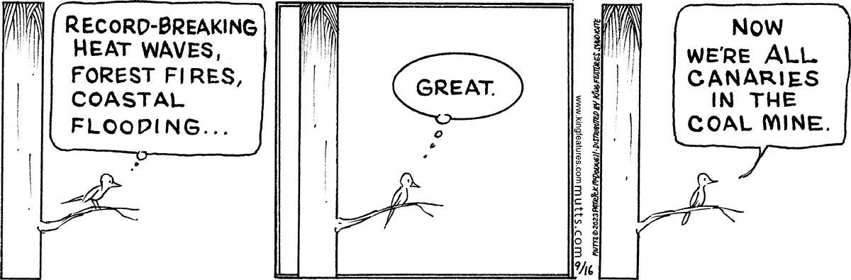 September 16 2023, Daily Comic Strip