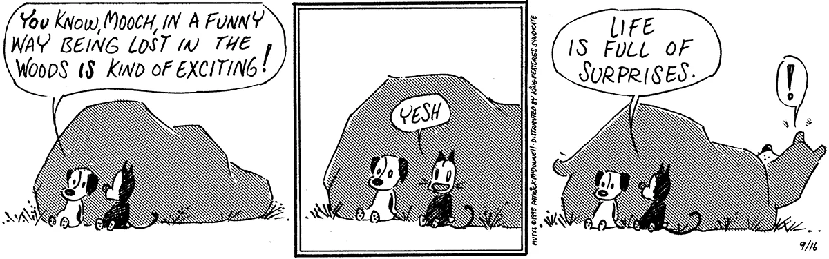 September 16 1995, Daily Comic Strip