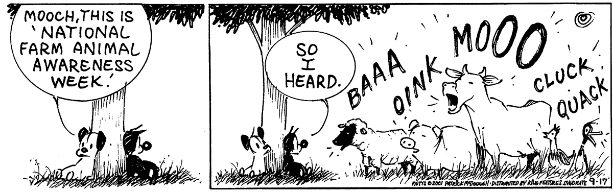 September 17 2001, Daily Comic Strip