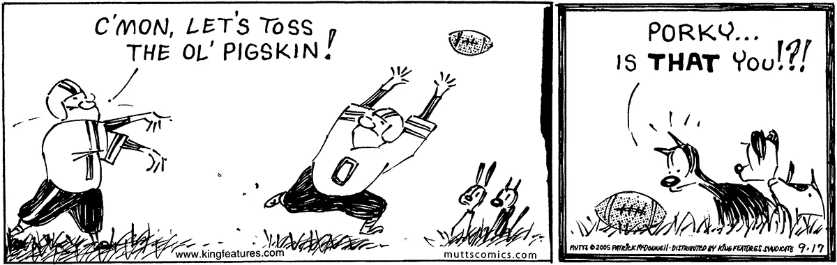 September 17 2005, Daily Comic Strip