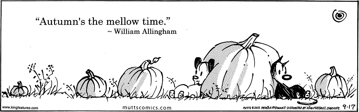 September 17 2012, Daily Comic Strip