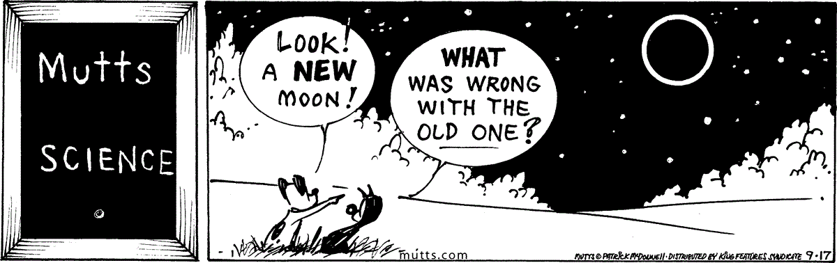 September 17 2024, Daily Comic Strip