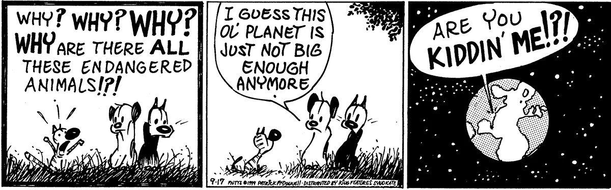 September 17 1999, Daily Comic Strip