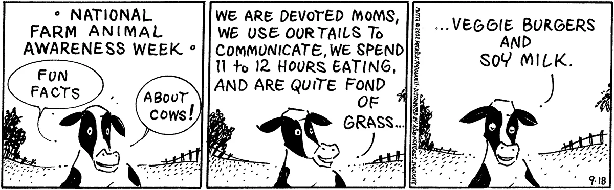 September 18 2002, Daily Comic Strip