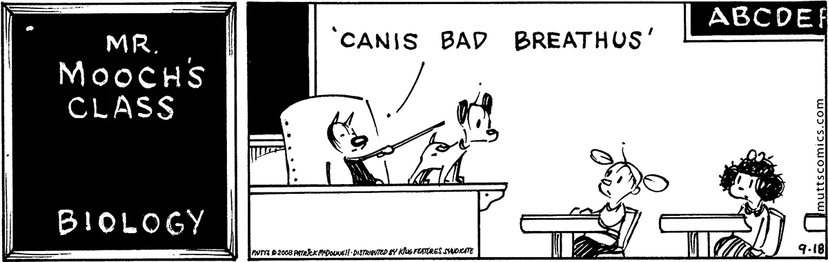 September 18 2008, Daily Comic Strip