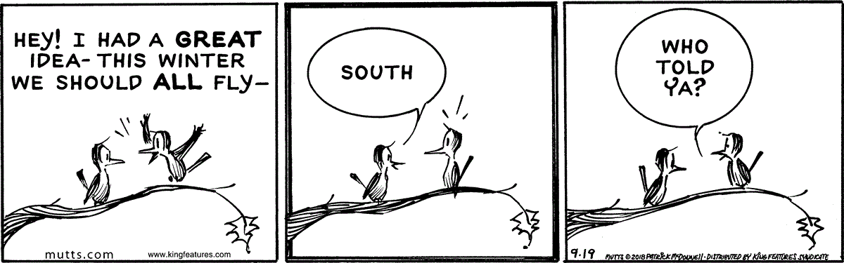 September 19 2018, Daily Comic Strip