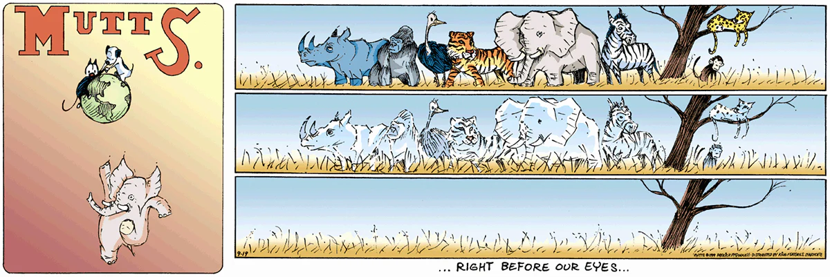 September 19 1999, Sunday Comic Strip