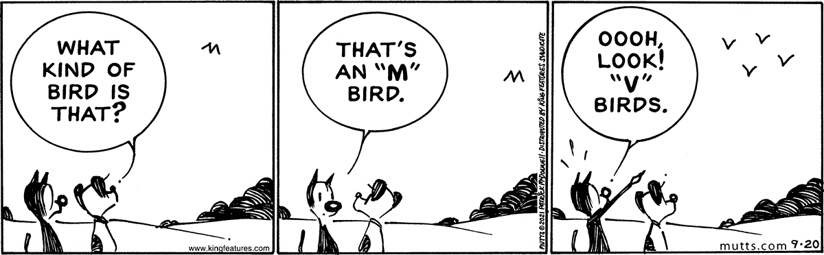 September 20 2021, Daily Comic Strip
