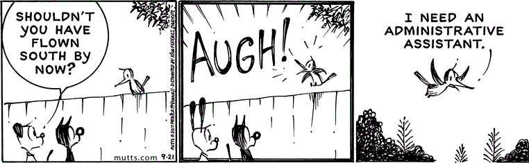 September 21 2017, Daily Comic Strip