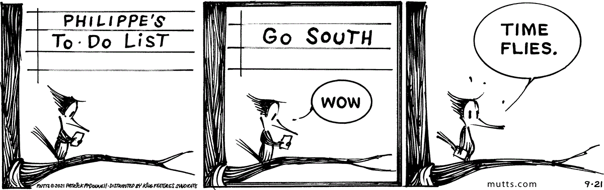 September 21 2021, Daily Comic Strip