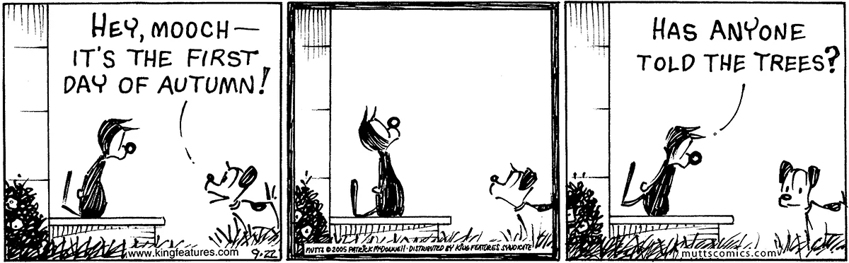September 22 2005, Daily Comic Strip