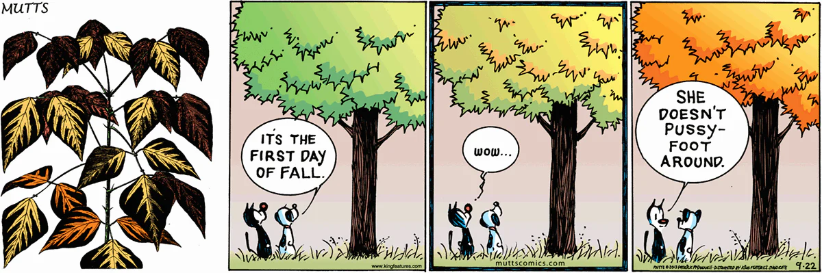 September 22 2013, Sunday Comic Strip