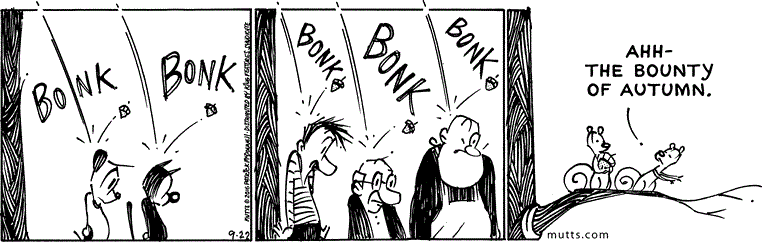 September 22 2016, Daily Comic Strip