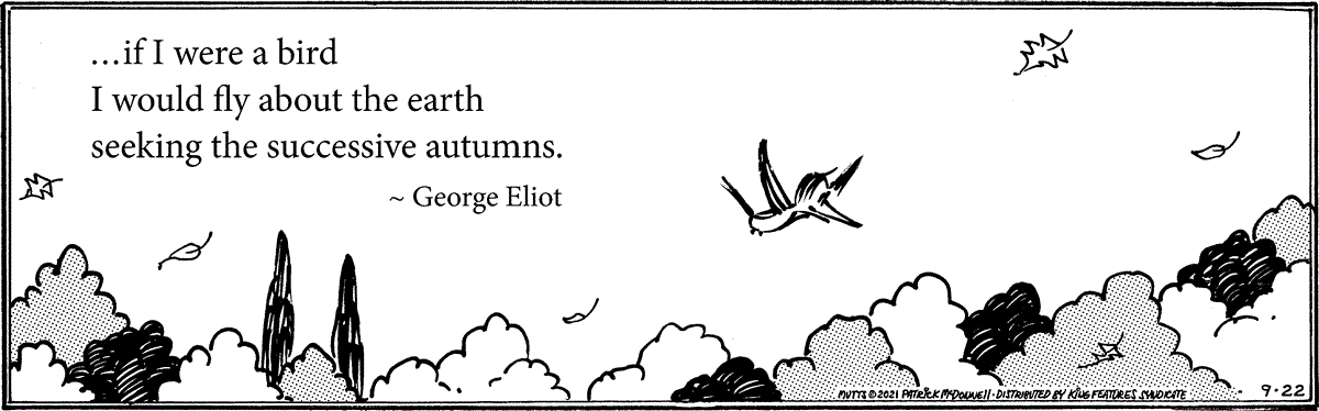 September 22 2021, Daily Comic Strip