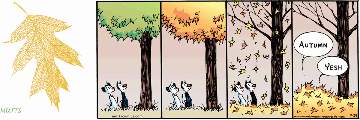 September 23 2012, Sunday Comic Strip