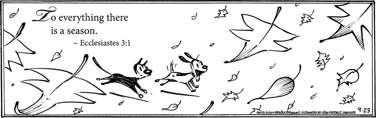 September 23 2014, Daily Comic Strip