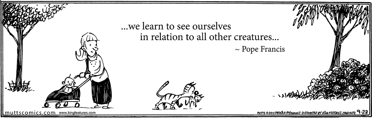 September 23 2015, Daily Comic Strip