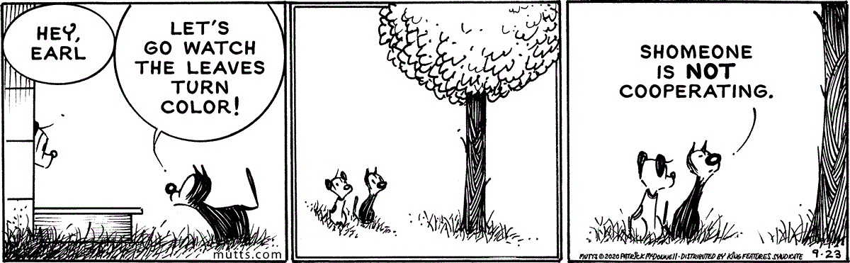 September 23 2020, Daily Comic Strip