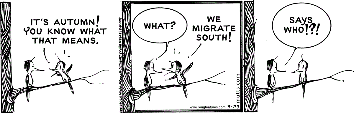 September 23 2021, Daily Comic Strip