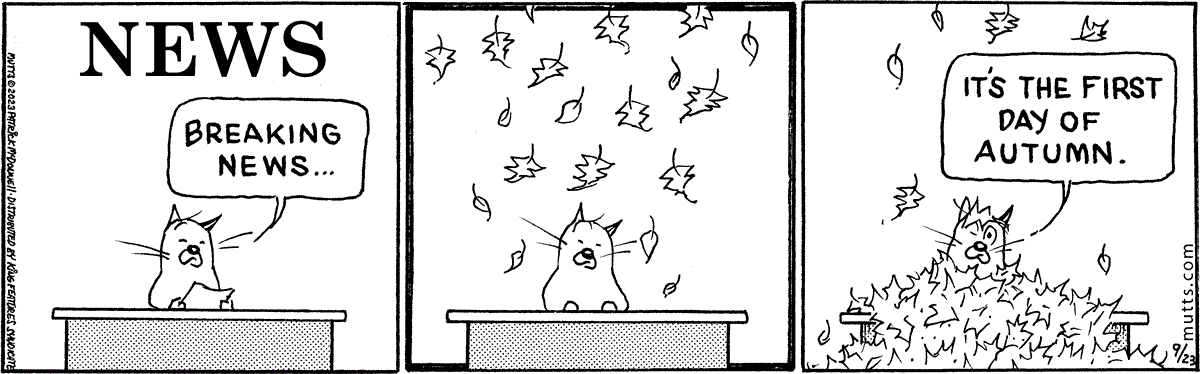 September 23 2023, Daily Comic Strip