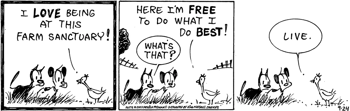 September 24 2003, Daily Comic Strip