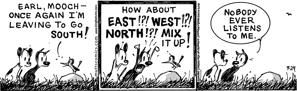 September 24 2008, Daily Comic Strip