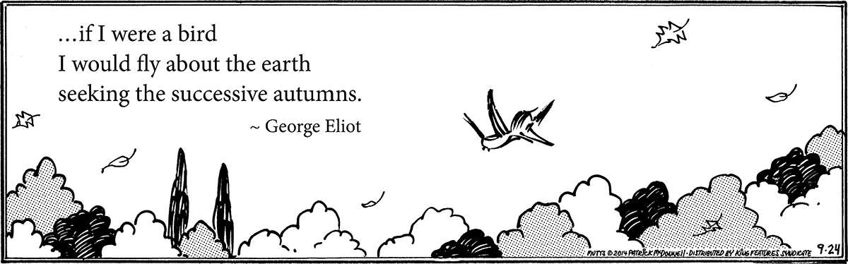 September 24 2014, Daily Comic Strip