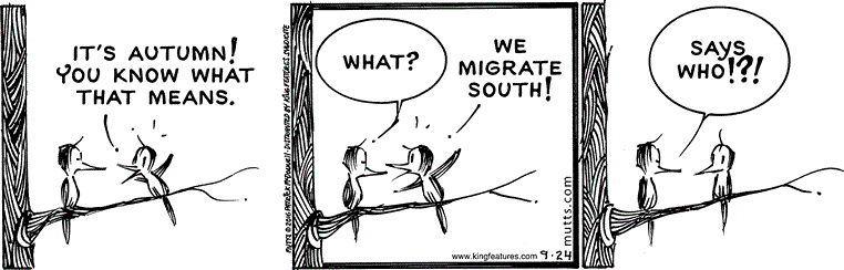 September 24 2016, Daily Comic Strip