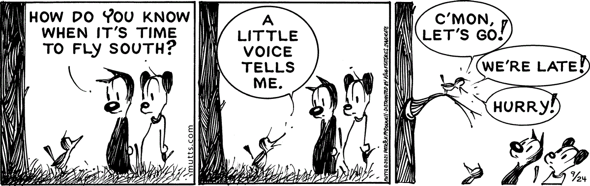 September 24 2021, Daily Comic Strip