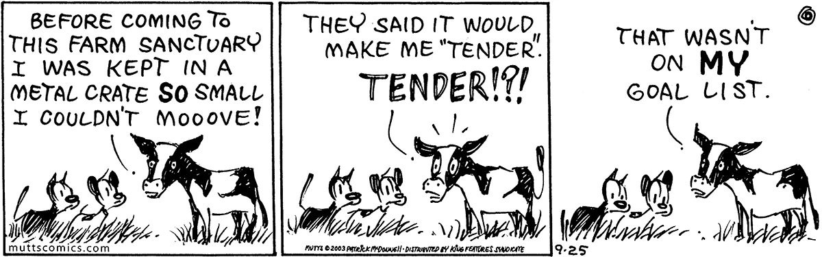 September 25 2003, Daily Comic Strip