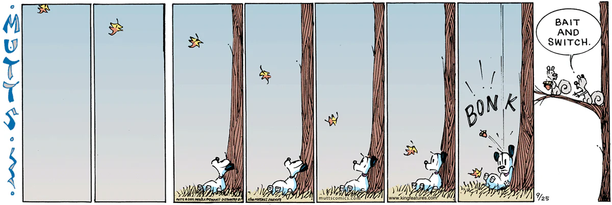 September 25 2005, Sunday Comic Strip